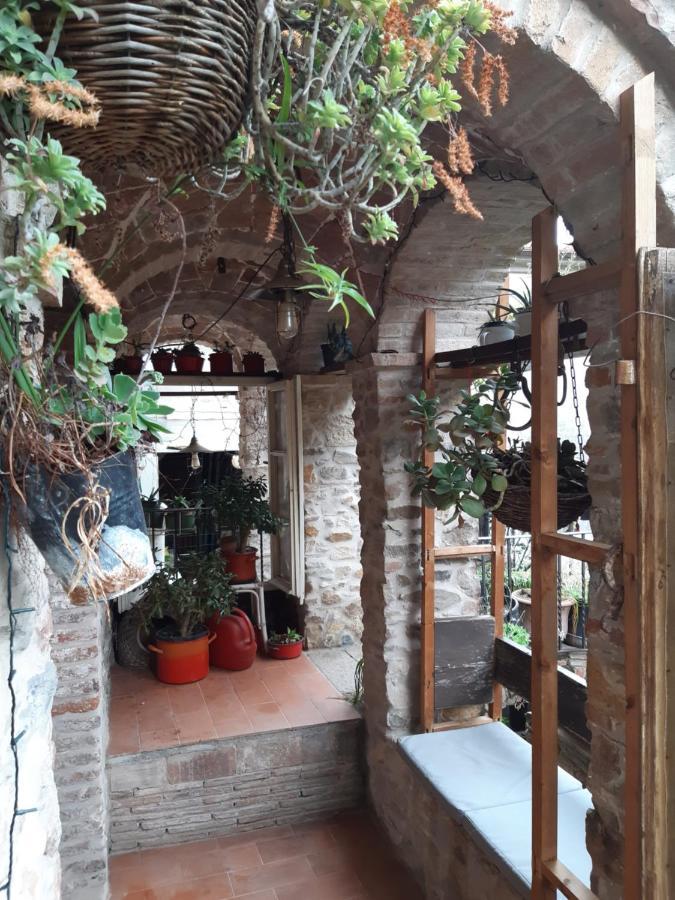 Attic With Balcony At Locanda Del Capo Capannori Kültér fotó
